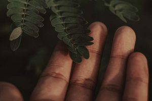 1-approachingt