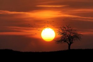 landscape-nature-sky-sunset-36744