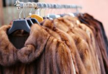 krzna od divljih zvijeri