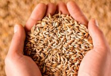 način kefareta posta