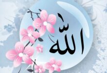 Allahovo lice