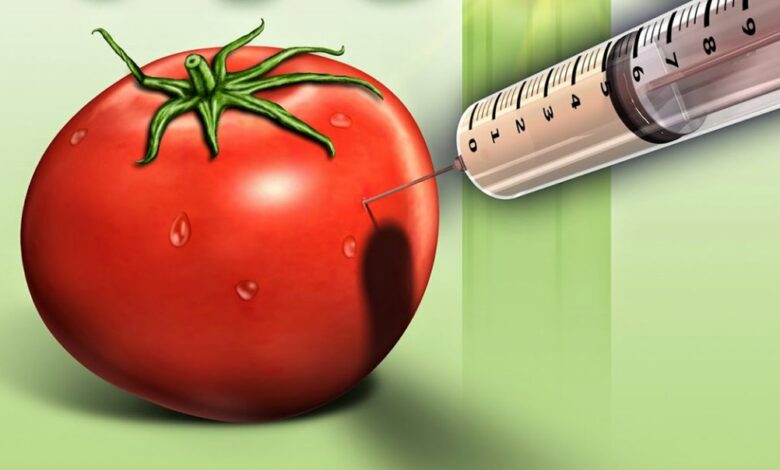 GMO hrana