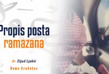 Propis posta