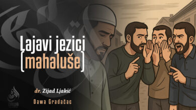 Lajavi jezici