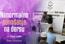 Ponašanje