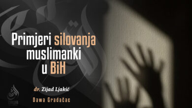 Primjeri silovanja