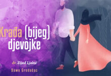 Krađa djevojke