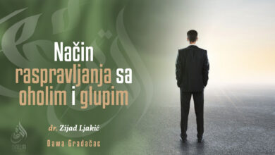 Način raspravljanja