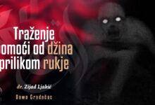 Pomoć od džina