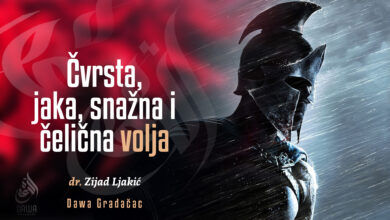 Čelična volja
