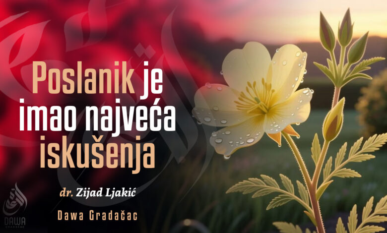 Poslanik