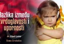 Tvrdoglavost i upornost