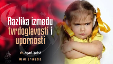 Tvrdoglavost i upornost