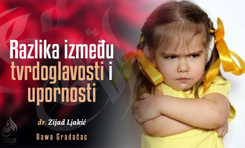 Tvrdoglavost i upornost