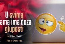 Doza gluposti