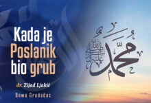 Poslanik grub